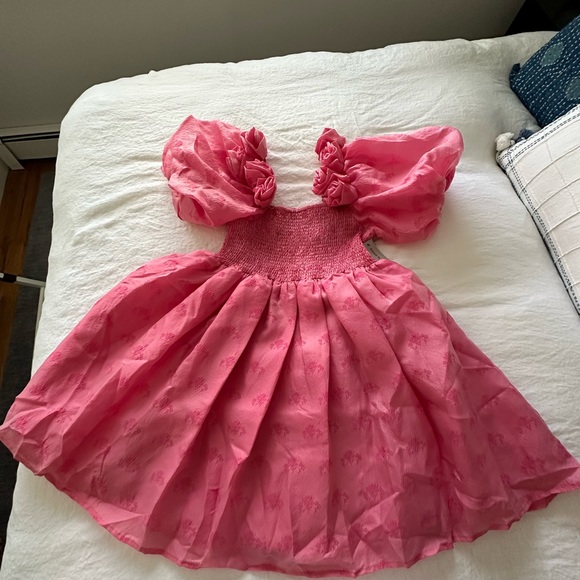 Sister Jane Dream Pink Dress with Roses Small & XS NWT - Picture 4 of 9